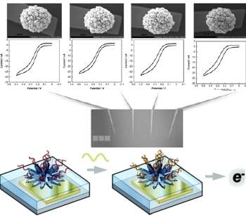 Biochip detecta tipo de cncer e gravidade da doena