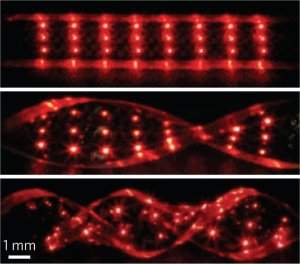 LEDs implantveis criam tatuagens que acendem