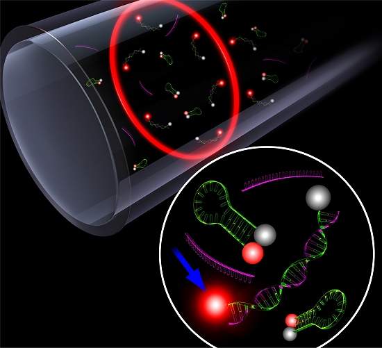 Laser lquido identifica genes indicadores de doenas