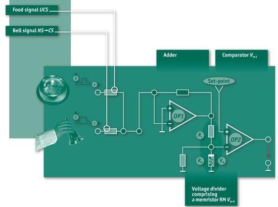 Co de Pavlov eletrnico: computadores podem aprender