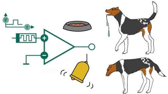 Co de Pavlov eletrnico: computadores podem aprender