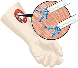 Bioeletrnica: Primeiro circuito integrado qumico controla neurnios