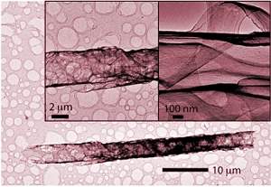 Semicondutor  sintetizado por evoluo gentica dirigida