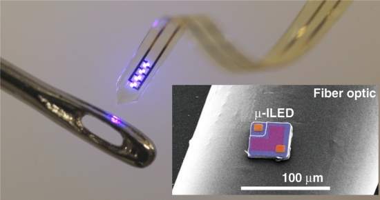 MicroLEDs injetveis manipulam crebro com luz