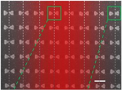 udio  gravado de forma analgica com laser