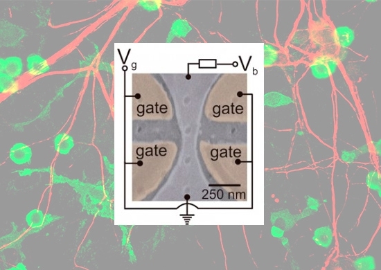 Transstor optoeletrnico imita neurnio e tem sua prpria memria