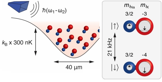 Molculas so qubits melhores do que tomos