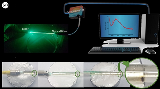 Brasileiros criam bits qumicos que trocam sinais luminosos ou eltricos