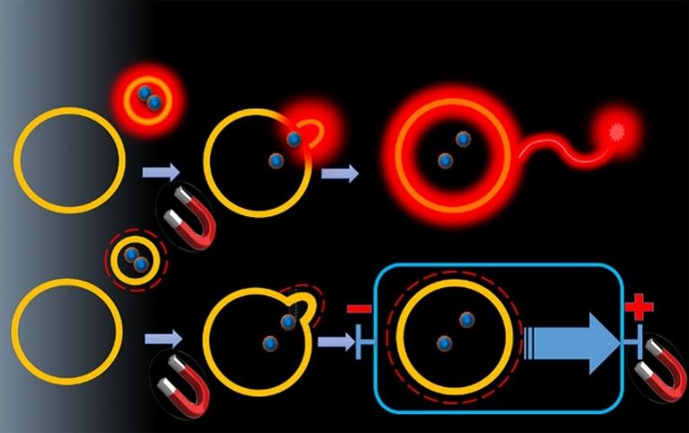 Brasileiros criam bits qumicos que trocam sinais luminosos ou eltricos