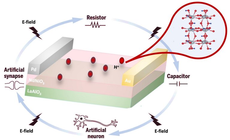 Componente neuromrfico une funes dos transistores e dos memoristores