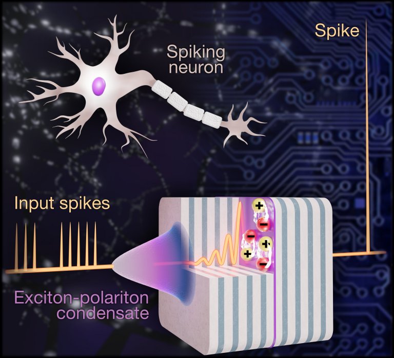 Neurnio de luz promete crebro artificial fotnico