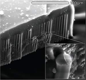 Dois recordes mundiais e duas novas clulas solares