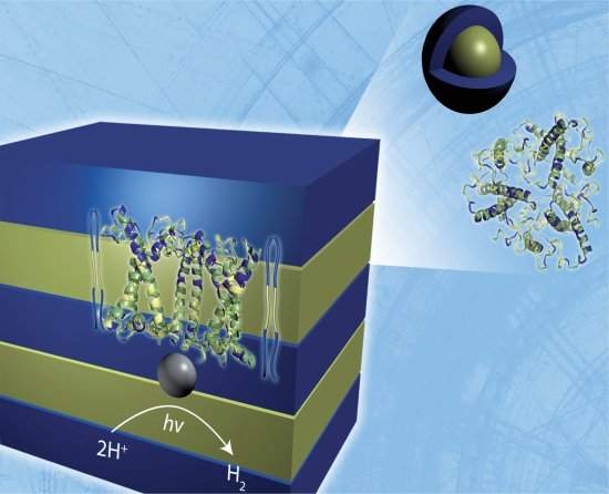 Material biossinttico transforma luz do Sol em hidrognio