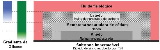 Clula a combustvel gera eletricidade com energia do crebro