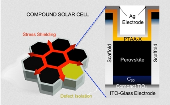 Olho de inseto inspira painis solares eficientes e belos