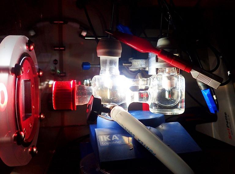 Fotossntese semi-artificial: Uma nova forma de coletar energia solar