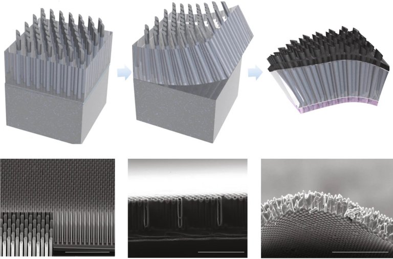 Clulas solares de silcio ficam transparentes e flexveis