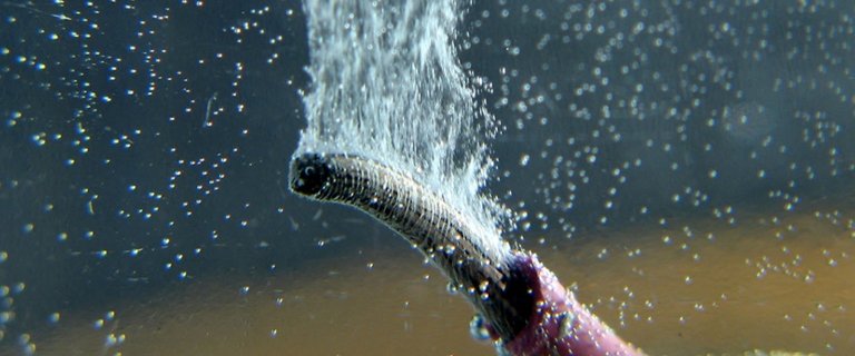 Lei centenria da eletroqumica tinha erro e  atualizada