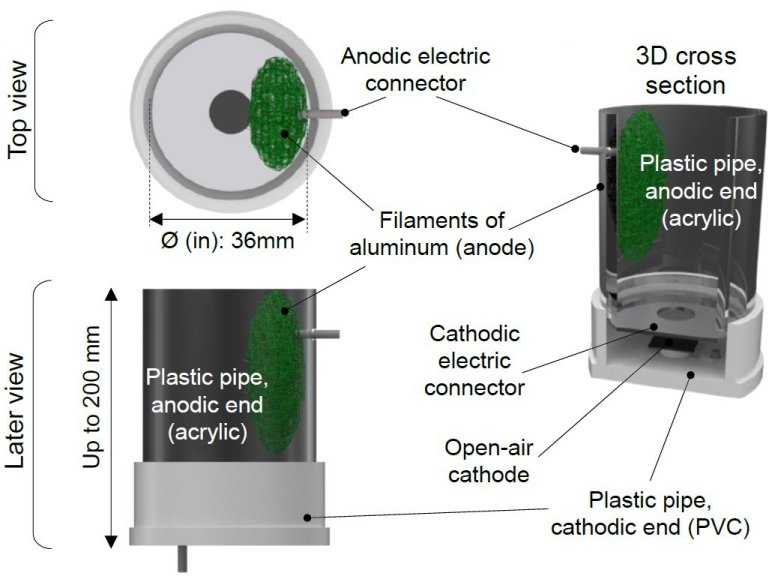 Bioclula usa algas para gerar energia para computador da internet das coisas