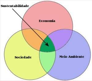 Tcnica permite medir sustentabilidade ambiental de modo quantitativo