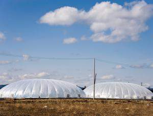 Fbricas vegetais sustentveis erguem-se nas sombras de Fukushima