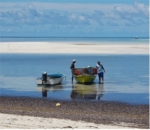 Sustentabilidade no pode prescindir dos valores humanos