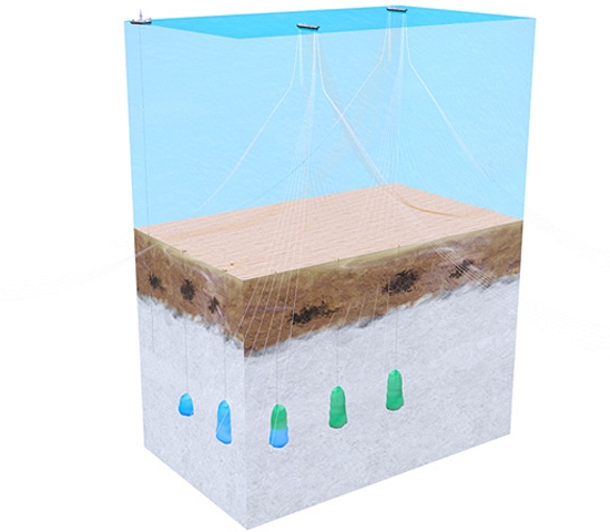 Cavernas no pr-sal podero armazenar CO2