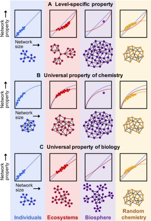 Leis universais da biologia podem explicar vida aliengena