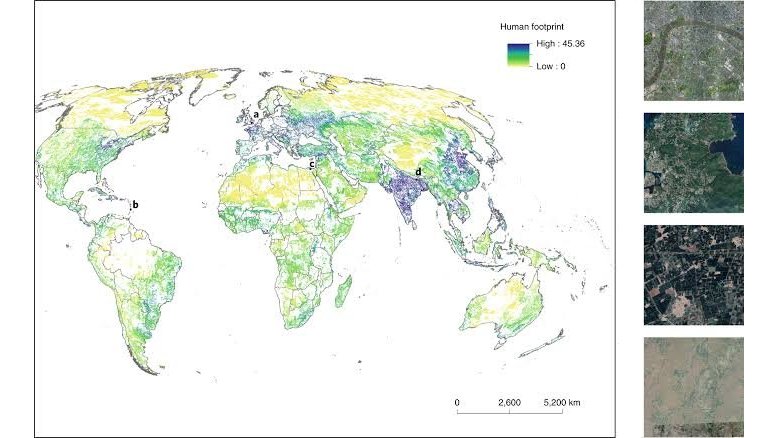 Salvar Meia Terra para a natureza afetaria um bilho de pessoas