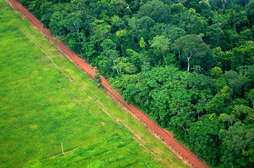 Boas intenes no so suficientes para poltica ambiental eficaz