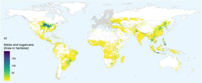 Tecnologias de emisses negativas no vo resolver crise climtica, dizem cientistas