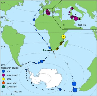 Captao de carbono dos oceanos est amplamente subestimada, dizem climatologistas