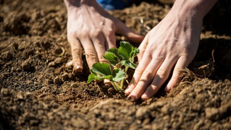 Nmeros do ciclo do carbono usados para prever mudanas climticas esto incorretos, dizem cientistas