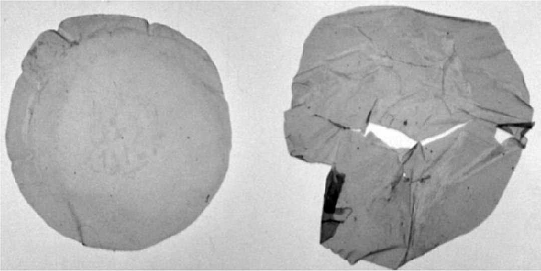 Descoberta bactria que transforma lixo plstico em bioplstico