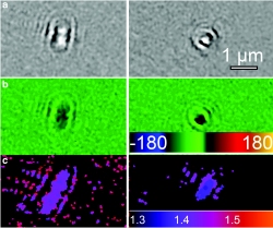 Imagem hologrfica poder detectar sinais de vida no espao