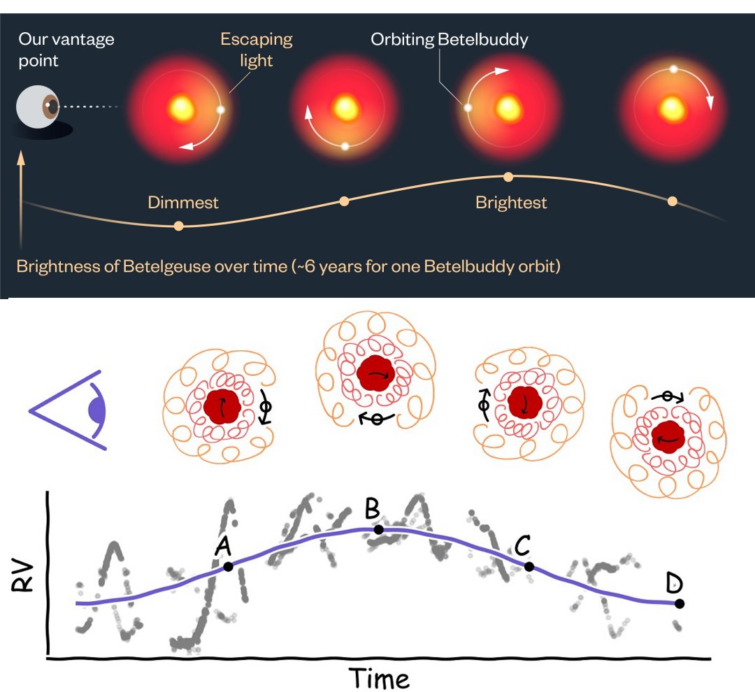 Estrela gigante Betelgeuse pode ter uma companheira que a faz pulsar