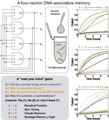 Primeira rede neural artificial feita com molculas de DNA