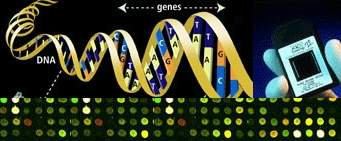 Computador de DNA