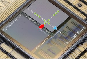 Primeiro crebro eletrnico neuromrfico est online