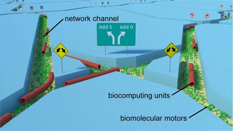 Comea projeto para construo do primeiro biocomputador