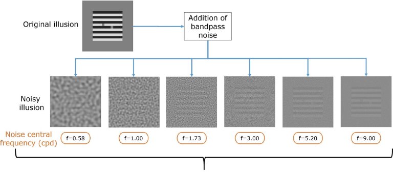 Inteligncia Artificial tambm sofre de iluses de ptica