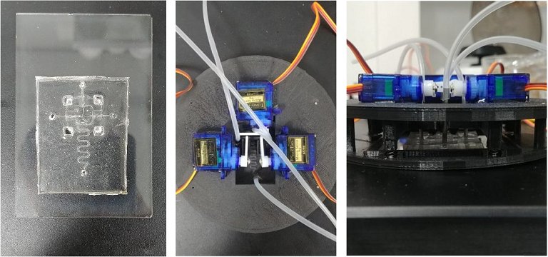 Processador de DNA finalmente em um chip programvel