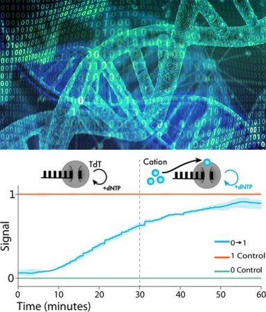 DNA poder se tornar o menor HD do mundo