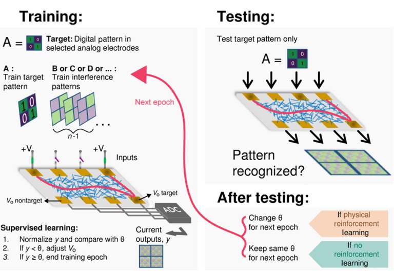 Rede neural de nanofios aprende e lembra como um crebro humano