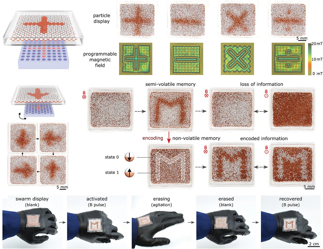 Esta tela armazena e mostra imagens criptografadas sem eletrnica