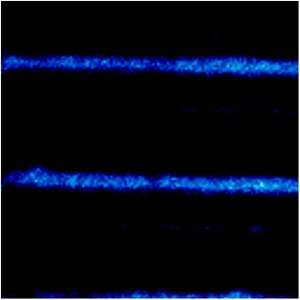 Fibra ptica molecular  feita com protena da fotossntese