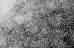 Bioplsticos de fibras vegetais se equiparam  fibra de carbono