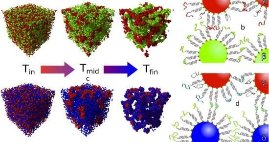 DNA d vida a materiais inertes