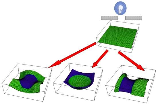 Gis movimentam-se de mudam de forma com luz