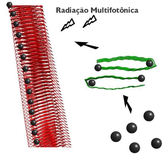 Placas de Alzheimer servem de inspirao para nanomateriais